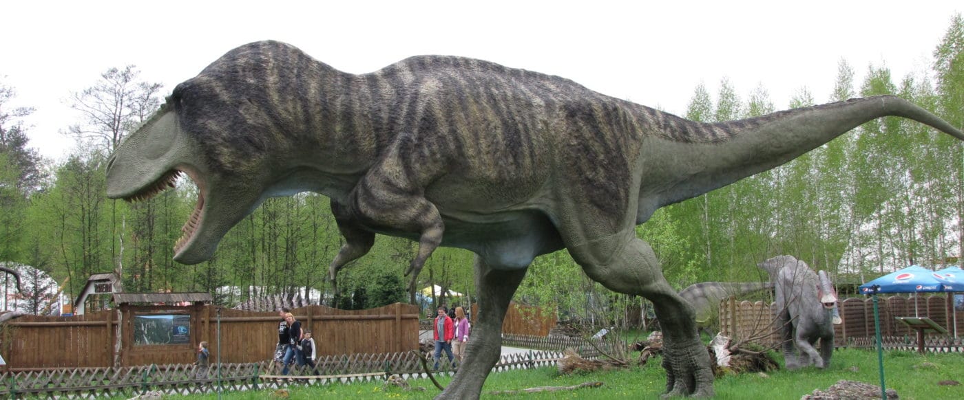 Cause Marketing Focus Blog: T-Rex’s Guide to Growing Your Cause Marketing