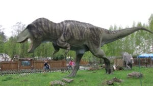 Cause Marketing Focus Blog: T-Rex’s Guide to Growing Your Cause Marketing